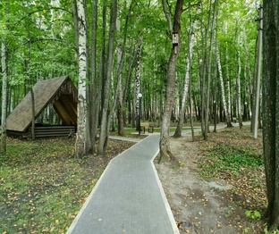 Боже Березовая роща и жить