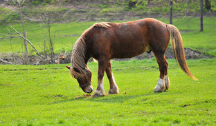 Что я продал в марте 2025г