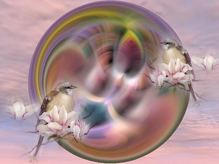 Истории из жизни автора