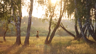 Тульская область