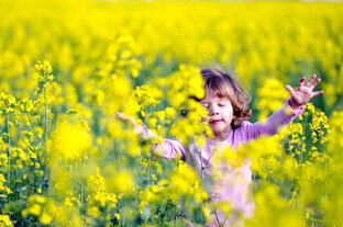 Моменты радости...