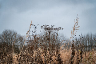 Глубинки и дали