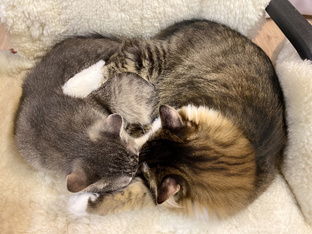 Мини - фильмы про жизнь 