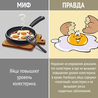 Интересные факты о еде