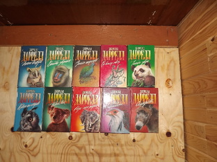 Книги из домашней библиотеки