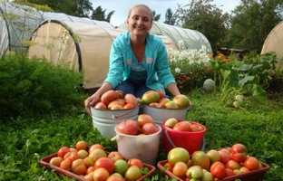 ТЕПЛИЧНЫЙ УРОЖАЙ