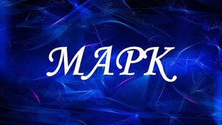 МУЗЫКА МАРКА & MUSIC DJ