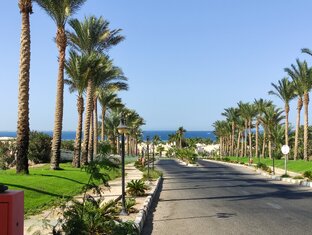 CORAL BEACH HOTEL осень 2021