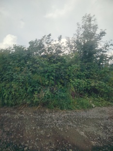 Пиары✨🫶🏻