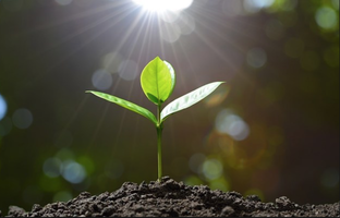 Финансовая грамотность