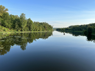 Наши берега 