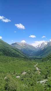 Путешествия 