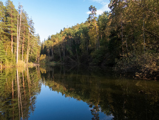 Краски осени