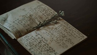 Старые записи