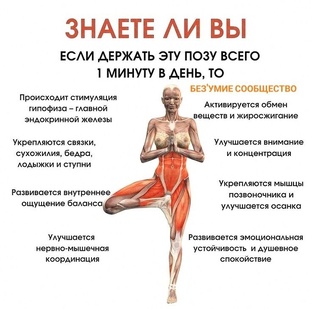 Упражнения