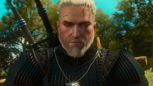 The Witcher