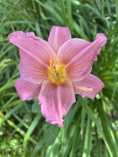 Арт- терапия