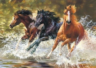 Владимир Грачев 2