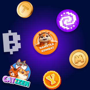 КОМБО | DAILY COMBO