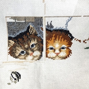 Коты наблюдатели