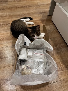 Статьи о хобби