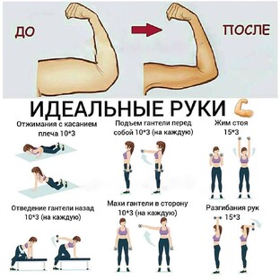 Тренировки и упражнения на верх тела. РУКИ, ГРУДЬ и СПИНА