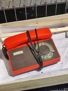 Вторая неделя июня