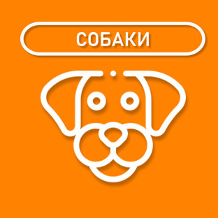 СОБАКИ