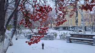 Путешествия и впечатления