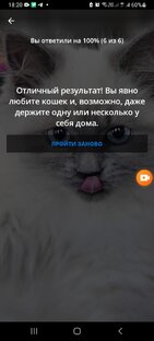 Братья наши меньшие