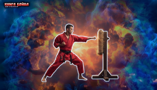 Техника боевых искусств