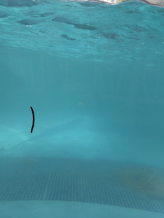 магнитошахтинская область