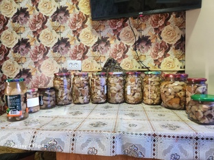 Грибной движ