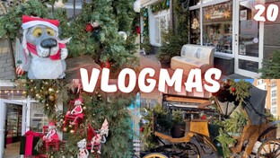 Влогмасы 2024