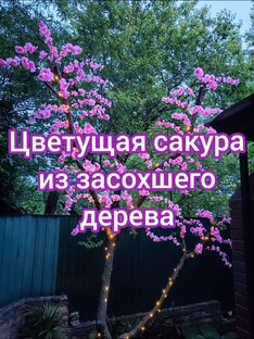 Дела хозяйские и обустройство двора.