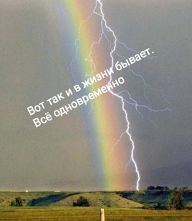 Дела житейские