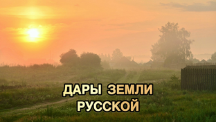 Дары земли русской