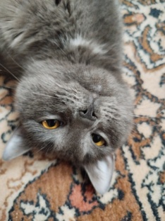Лайфхаки