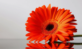 Эксклюзивные материалы 