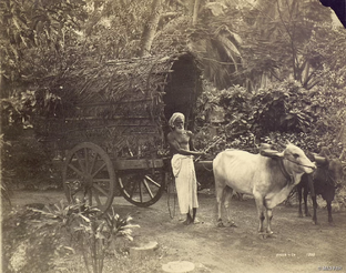 Историческая фотография