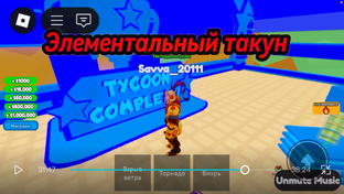Тайкуны