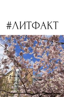 #литературныйфакт