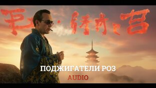 AUDIO & MULTIMEDIA | ПОДЖИГАТЕЛИ РОЗ