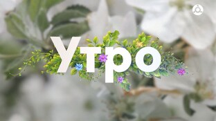 Утро III
