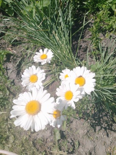 Всяко разно