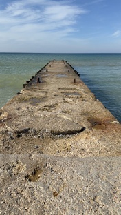 Медленная жизнь