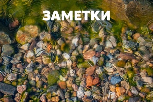 Мои впечатления 