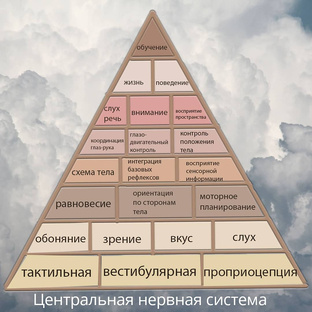 #нейропсихология