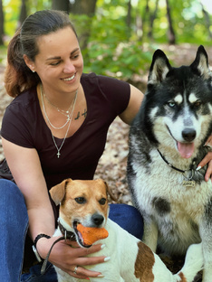 Развивающие игры для собак