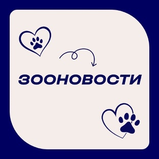 Зооновости